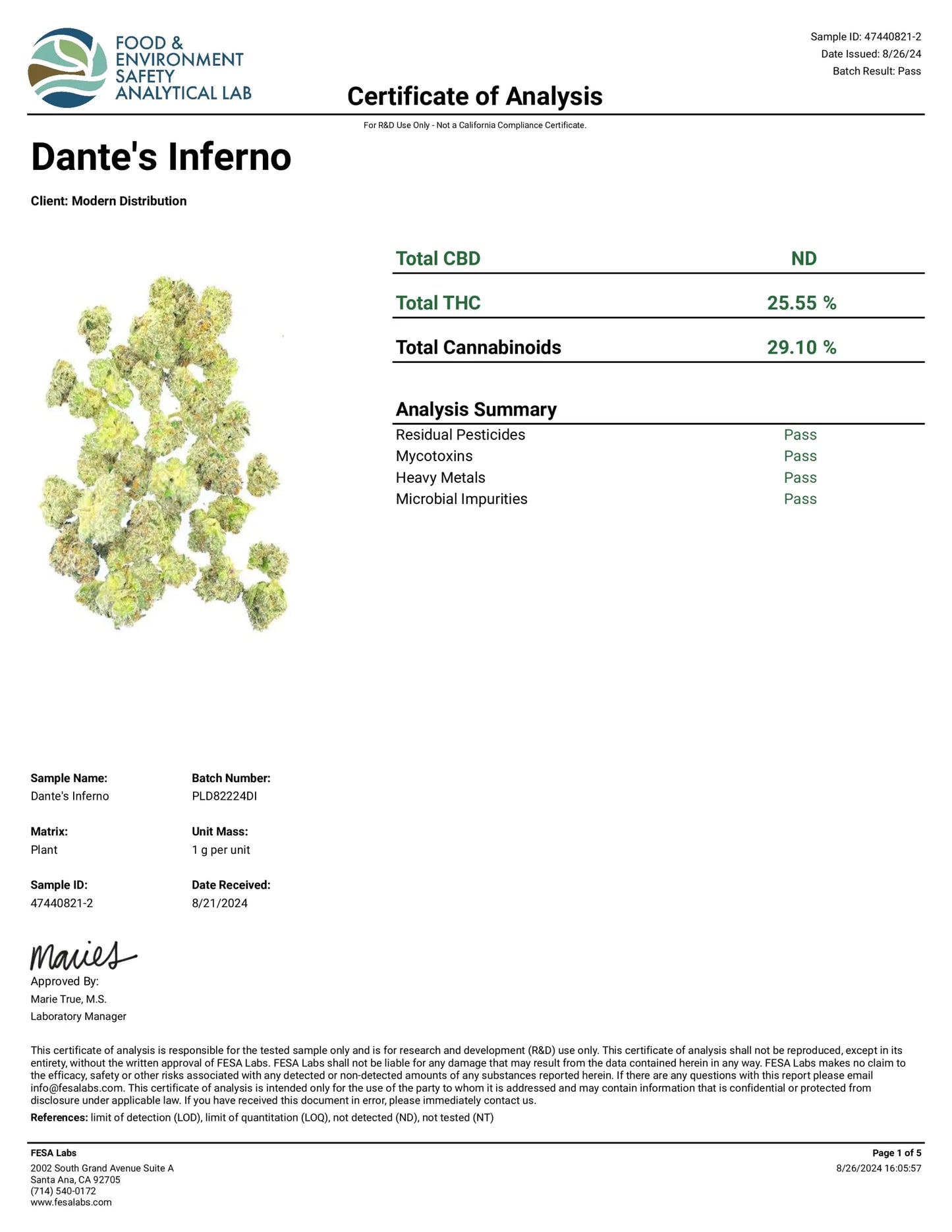 Dante's Inferno Indoor Boutique THCa Flower - Indica