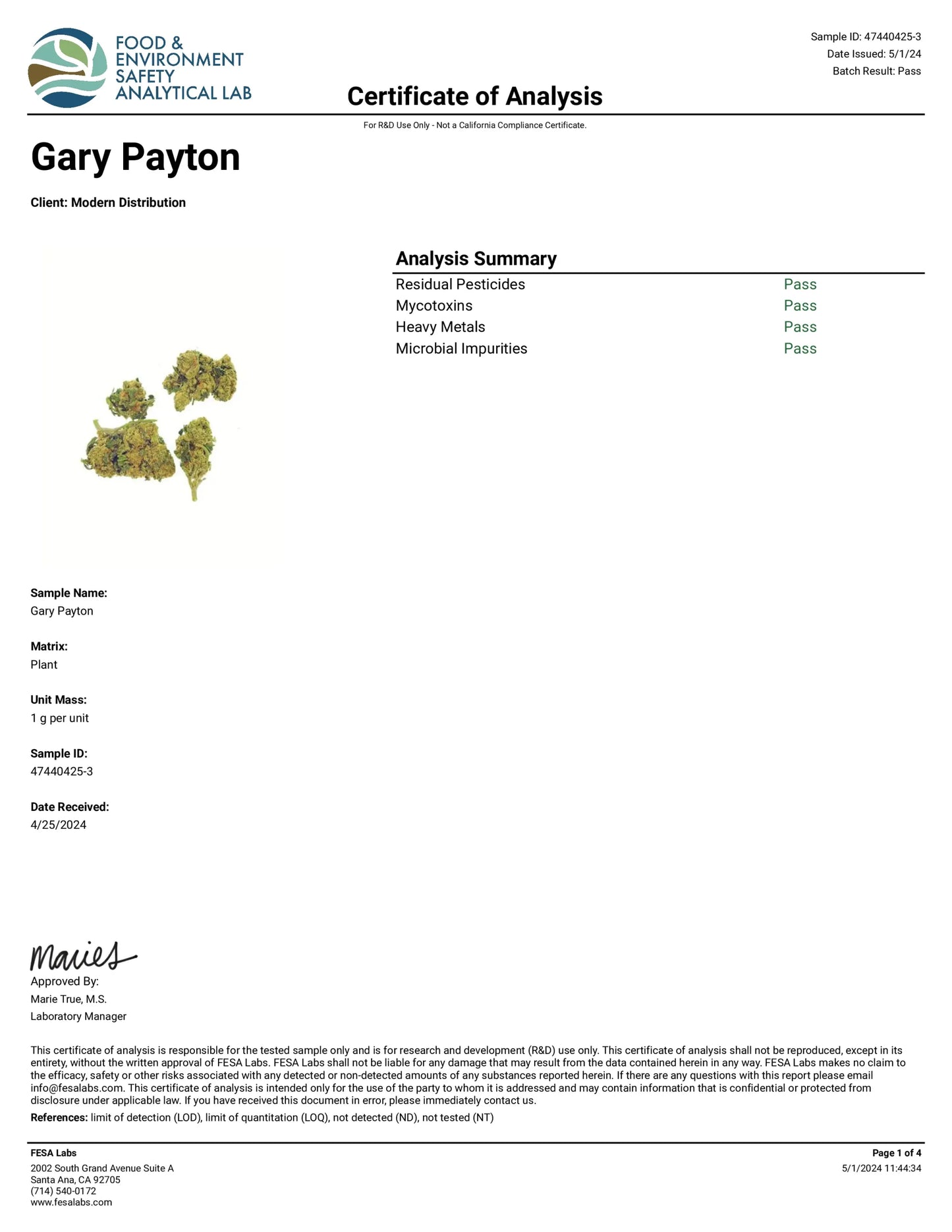 Gary Payton Ultra Exotic THCa Flower - Per Gram - Hybrid - Sky High Montgomery - Sky High Montgomery cincinnati