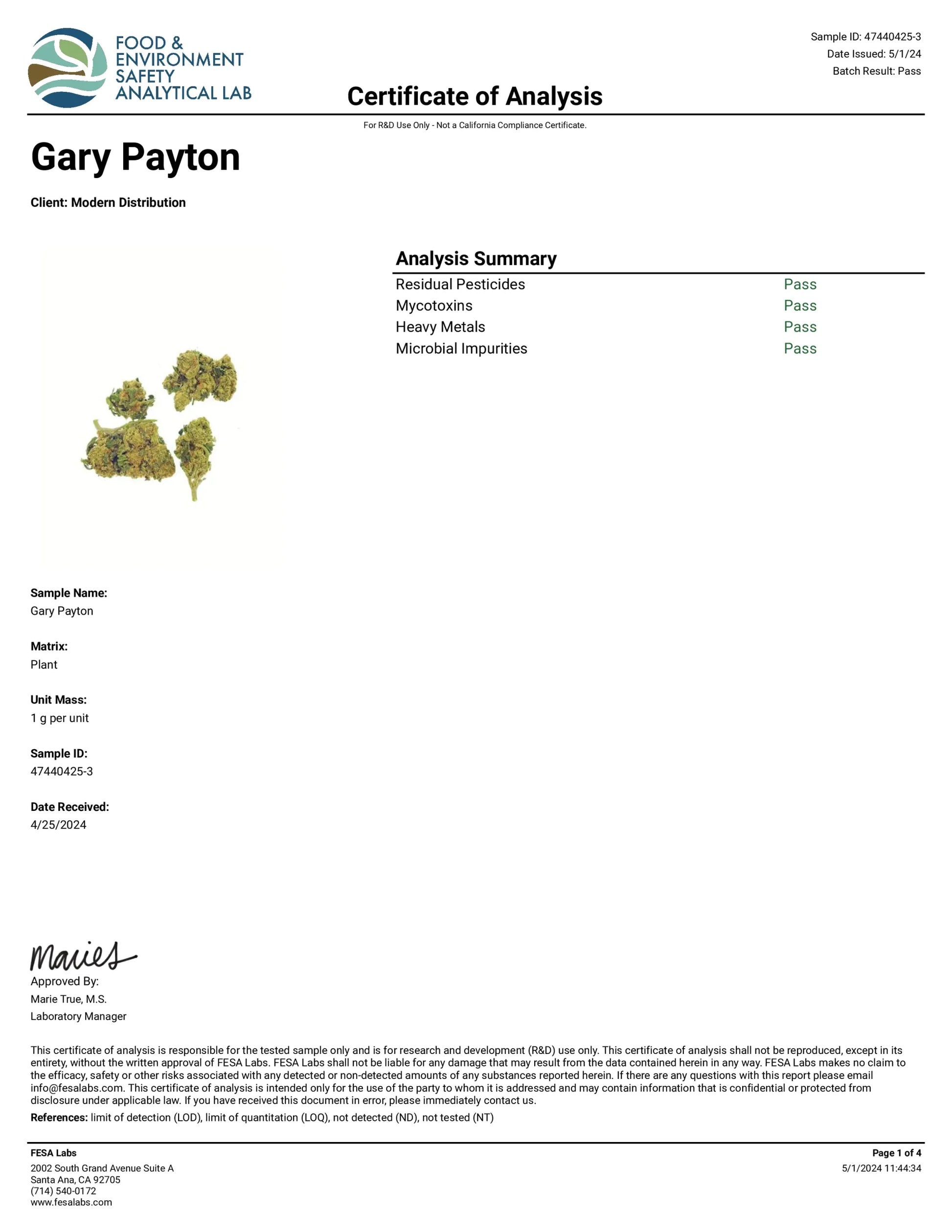 Gary Payton Ultra Exotic THCa Flower - Per Gram - Hybrid - Sky High Montgomery - Sky High Montgomery cincinnati