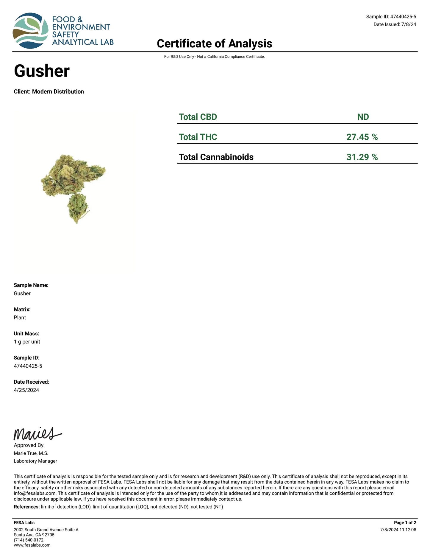 Gushers AAAA+ Exotic THCa Flower - Hybrid