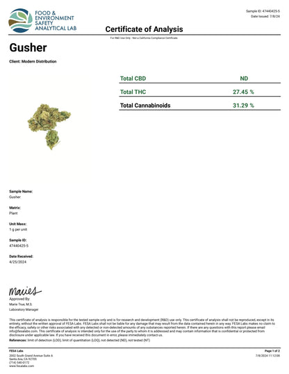 Gushers AAAA+ Exotic THCa Flower - Hybrid - Elevate Montgomery - Sky High Montgomery cincinnati