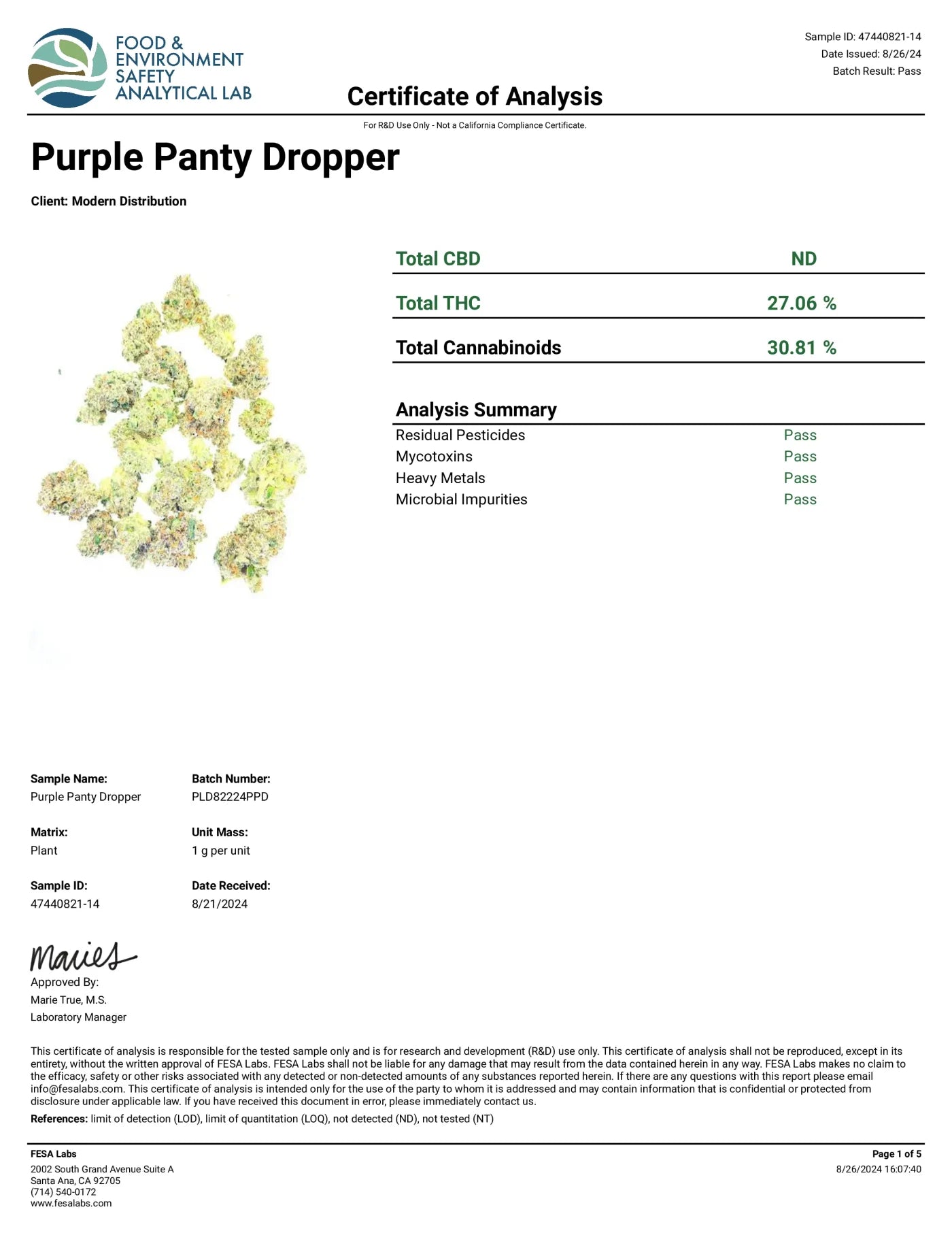 Purple Panty Dropper AAAA+ Exotic THCa Flower - Indica