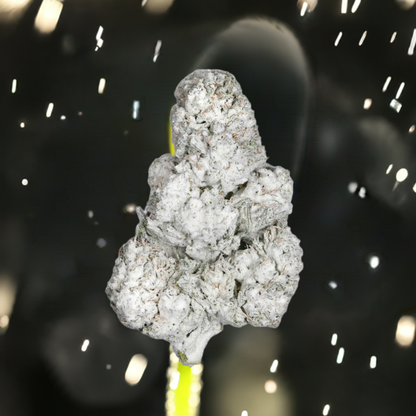 Cold As Ice Snowball Exotic THCa Flower -  Sativa